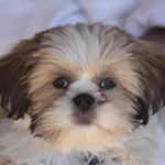 Profile Picture of Randy Lisa Craddock (@craddockrandylisa) on Instagram