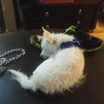 Profile Picture of Mary Beebe (@mary.beebe.794) on Instagram