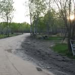 Profile Picture of Marlene Waterfield (@marlene.waterfield.35) on Facebook