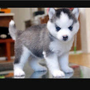 Profile Picture of Nancy Leonard (@nancyleonard8206) on Youtube