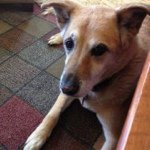 Profile Picture of Kelli Hunter (@khunter1129) on Instagram