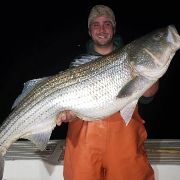 Anthony Vitro - Poshmark Profile Picture of Anthony Vitro (@lilvitro96) on Poshmark