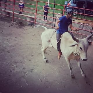 Profile Picture of Joseph Robleto (@joseph_robleto) on Instagram