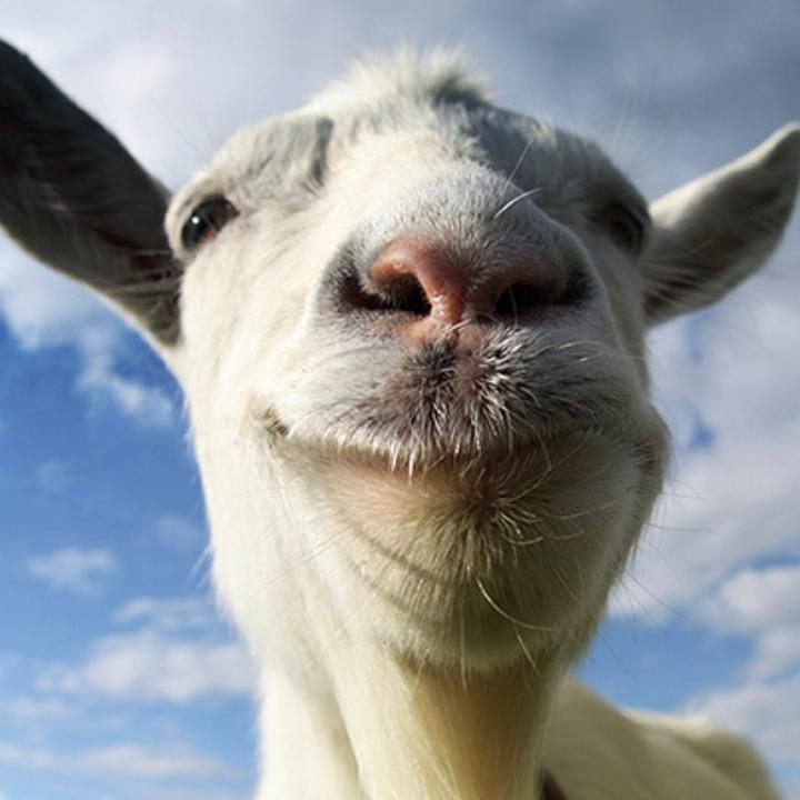 Profile Picture of MarkFrazier (@jaqueitdl96) on Tiktok