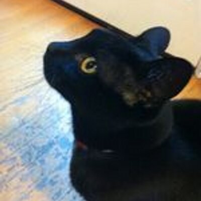 Profile Picture of Janay Lesure (@Lawrence_8wb) on Twitter