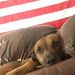 Profile Picture of Travis Correll (@tcorrell1010) on Pinterest