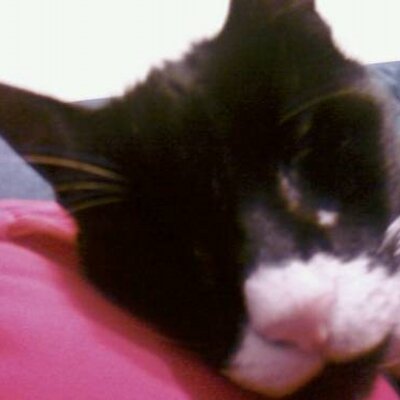 Profile Picture of Tim Knapp (@usadt) on Twitter