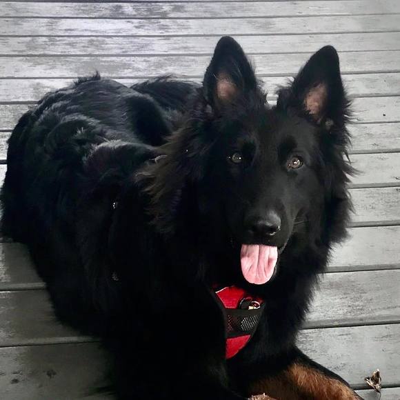 Profile Picture of Mona Swanson-speed (@mspeed2020) on Poshmark