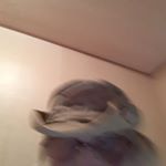 Profile Picture of Scott Pullar (@pullar.scott) on Instagram