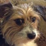 Profile Picture of Brandon Bennett (@_brandon.bennett) on Instagram