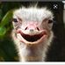 Profile Picture of Jérémy Doucet (@jeremy.doucet.121) on Facebook