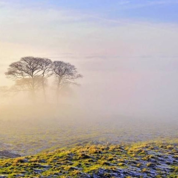 Profile Picture of Lloyd Manders (@qhmxks) on Poshmark