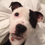 Profile Picture of louiserust (@louiserust) on Instagram