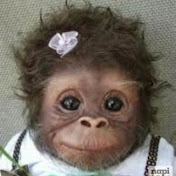 Tibor Feher - Youtube Profile Picture of Tibor Feher (@tiborfeher4942) on Youtube