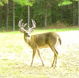 Profile Picture of Michael Knost (@michael.knost.35) on Facebook