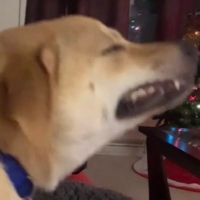 Profile Picture of Bondra (@hoesandheroin) on Twitter