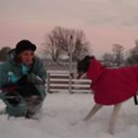 Profile Picture of Sharon Hinds (@sharon-hinds-1) on Quora