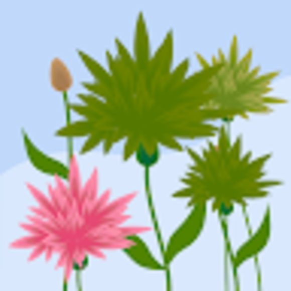 Profile Picture of Sara Alhosani (@saraalhosani776) on Poshmark