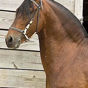 Luisa Galvis - Myspace Profile Picture of Luisa Galvis (@babyluisa09) on Myspace