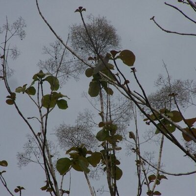 Utpal Chattopadhyay - Twitter Profile Picture of Utpal Chattopadhyay (@uc59) on Twitter