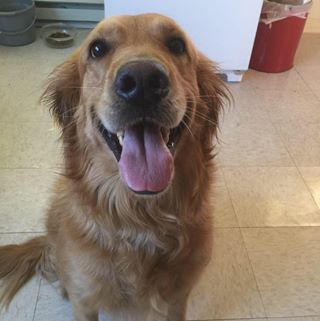 Profile Picture of Theron Anderson (@theron.anderson1) on Facebook