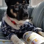 Profile Picture of Jana (@janamccluskey) on Instagram