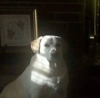 Profile Picture of Dave S Forrest (BigDave) (@david.forrest.37266) on Facebook