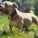 Profile Picture of Chris Keith (@Chris-Keith) on Facebook