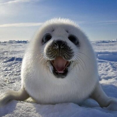 Profile Picture of Cody Packer (@Edocalokee) on Twitter