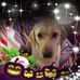 Profile Picture of Steven Chick (Chicky) (@steven.chick.946) on Facebook