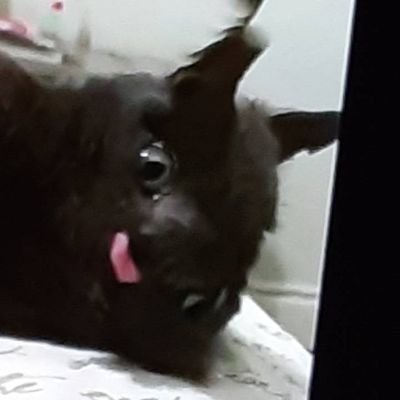 Profile Picture of Caleb Lowery (@CalebLowery16) on Twitter