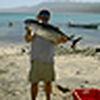Profile Picture of Mark Stoller (@Mark Stoller) on Flickr
