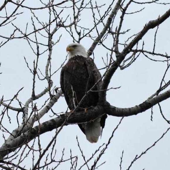 Profile Picture of Paul Ossmann (@wxofoss) on Poshmark