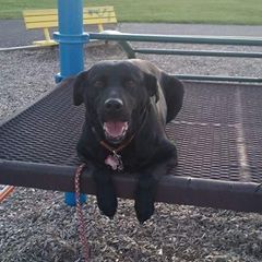 Profile Picture of Angela Harmon Pemberton (@angelaharmonpemberton) on Tiktok