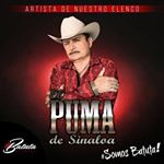 Profile Picture of Alfredo Bojorquez (@elpumadesinaloa2) on Instagram