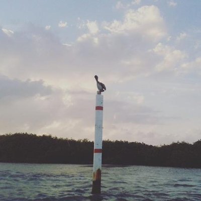 Profile Picture of ALICE_VELA (@mirevelazquez) on Twitter