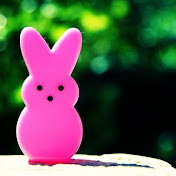 Profile Picture of Jenna Arnold (@ThePinkPeep) on Youtube