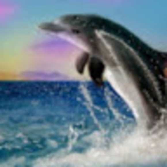 Profile Picture of Jenna Helkey (@jhelkey212) on Poshmark