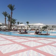 Profile Picture of Mark Stengl (@markstengl1) on Tiktok