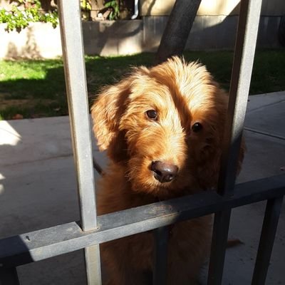 Profile Picture of Cindy Quinton (@CindyQuinton5) on Twitter