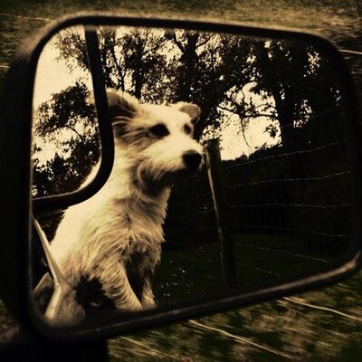 Profile Picture of Richard Houston (@818Max) on Twitter