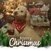 Profile Picture of Debbie Davis Cline (@debbie.d.cline) on Facebook