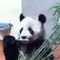 Profile Picture of Roslyn Bates (@roslyn.bates.5) on Facebook