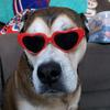 Profile Picture of annepaddock240 (@@annepaddock240) on Tiktok
