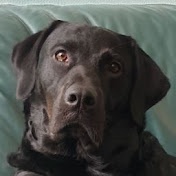 Profile Picture of Eric Beyer (@dredge001) on Youtube