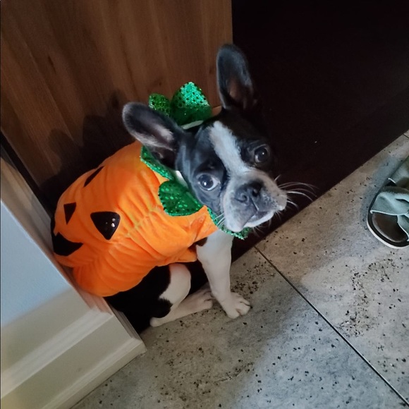 Profile Picture of Meredith Brandon (@mbrandonmd) on Poshmark