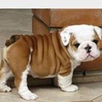 Profile Picture of Paul Ainley (@ainleypaul) on Instagram