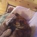 Profile Picture of Kim Coots (@kim.coots.71) on Facebook