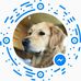 Profile Picture of Donald Lemieux (@donald.lemieux.927) on Facebook