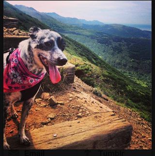 Profile Picture of Dixie Sidener (@dixie.sidener) on Facebook